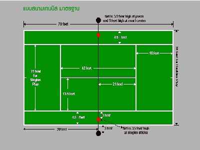 ขนาดเส้นในสนามเทนนิส