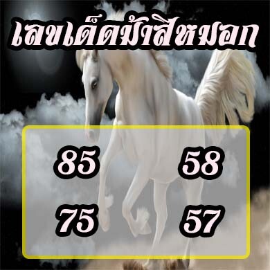 เลขเด็ดม้าสีหมอก